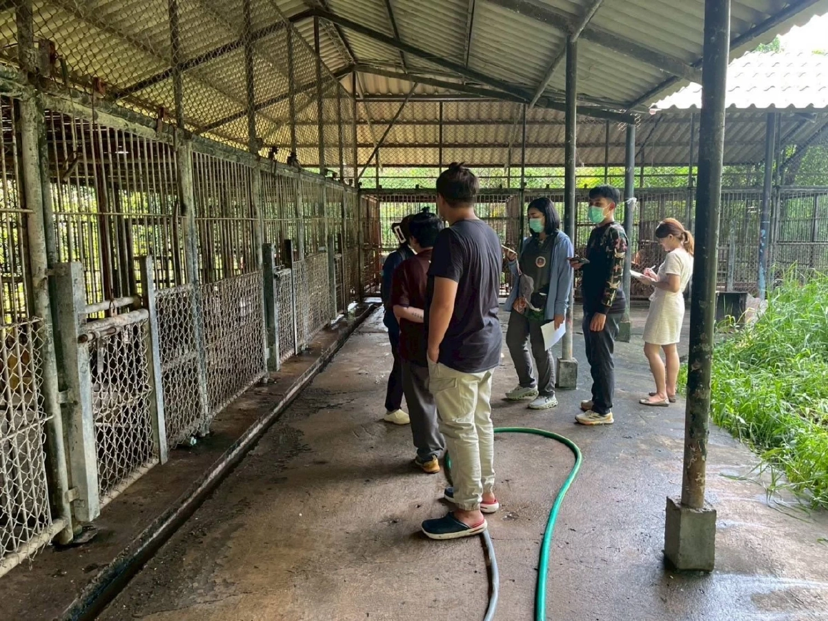 กรมอุทยานฯ เผยผลตรวจ สวัสดิภาพสัตว์ในกรงพัก \"เสือ-สิงโต\" ของซาฟารีเวิลด์