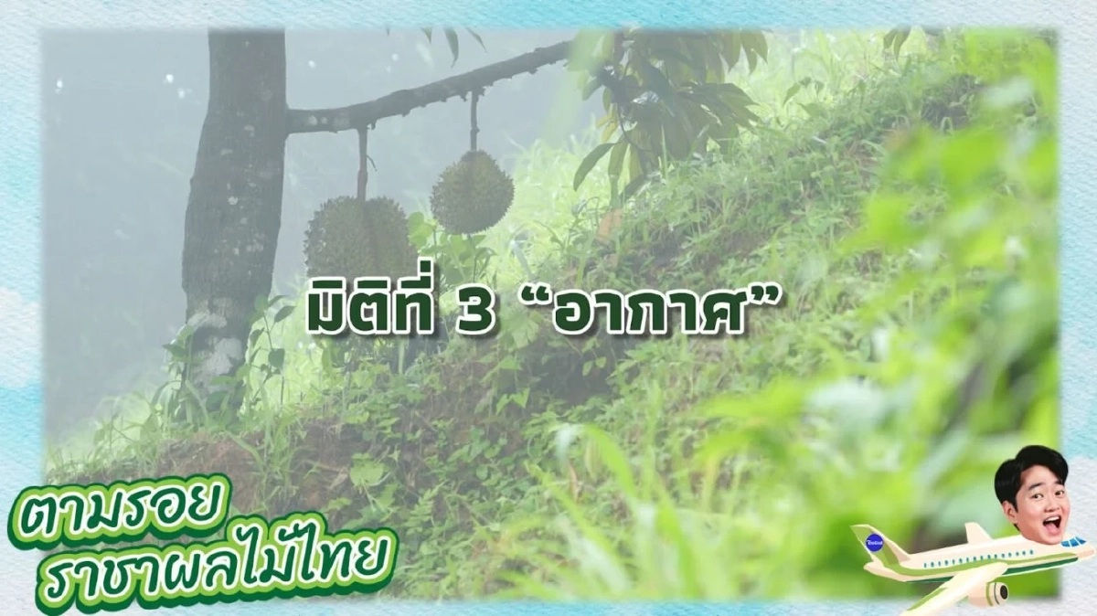 รหัสลับทุเรียนไทย\" GI\" หัวใจ สร้างแบรนด์สู่ตลาดโลก