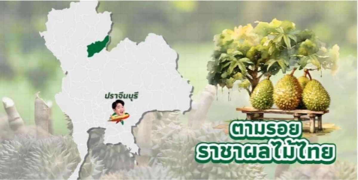 “ทุเรียน”ราชาแห่งผลไม้ไทย กับรหัสลับ GI ที่โลกต้องรู้จัก