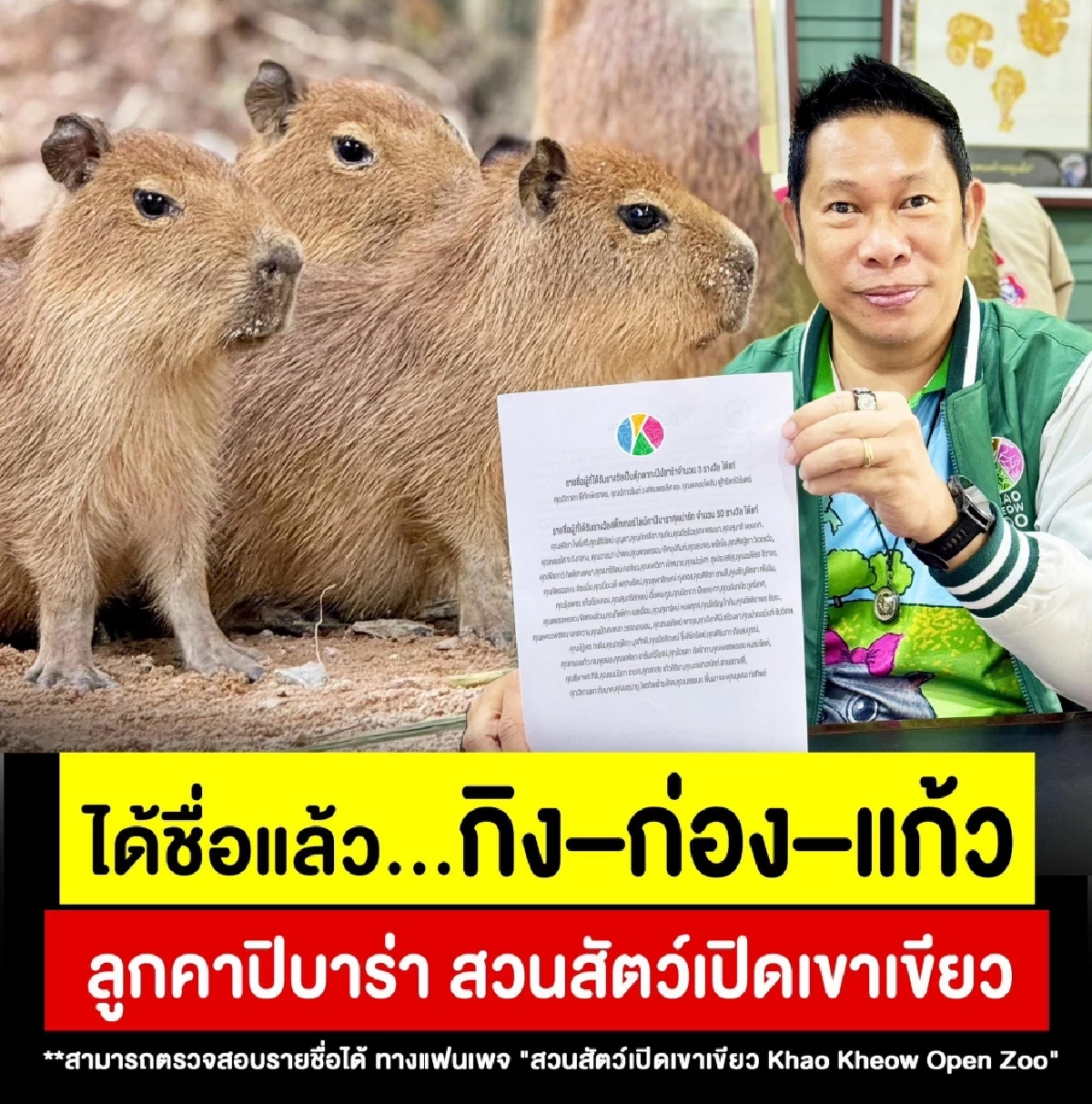 คาปิบาราน้อยได้ชื่อแล้ว “กิง ก่อง แก้ว” แฟนๆแห่แซว น่ารักสมตำแหน่งดาวสวนสัตว์