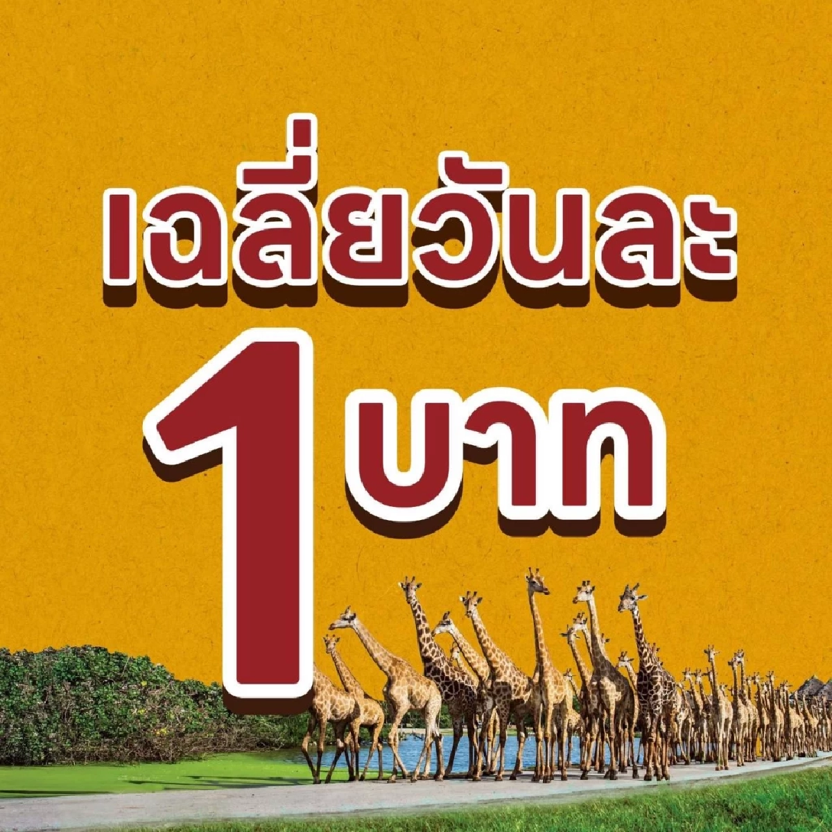 รีบด่วน ซาฟารีเวิลด์ จัดโปร \"เที่ยววันละ 1 บาท นาน 3 ปี\" เริ่มสมัครแล้ววันนี้