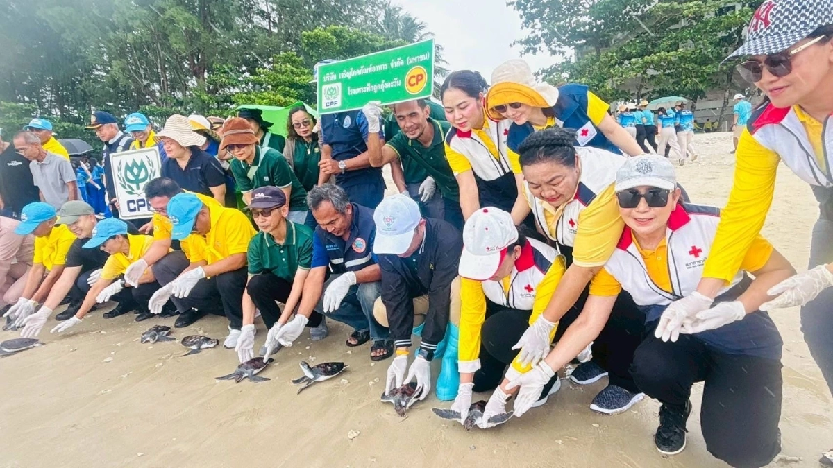 ซีพีเอฟและบริษัทในเครือซีพี รวมพลังเก็บขยะชายหาด ฟื้นฟูระบบนิเวศทางทะเล