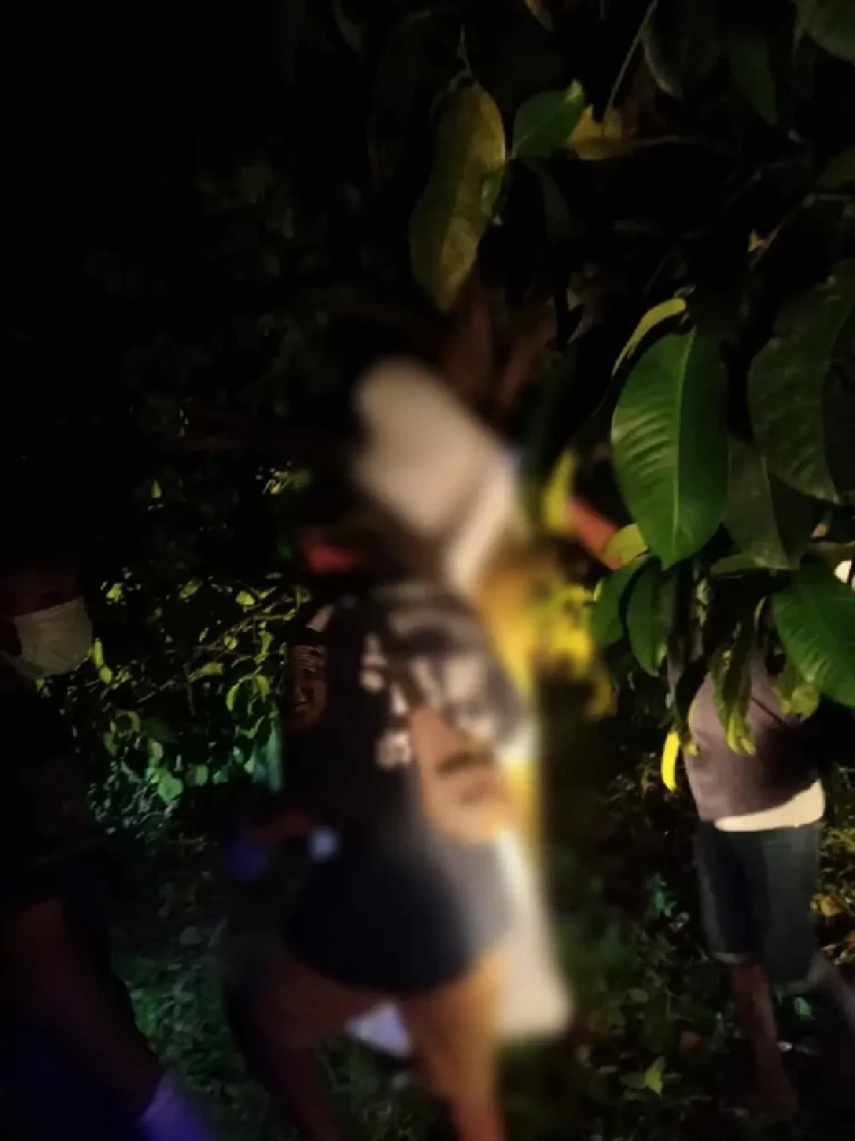 เปิดสาเหตุลูกทุ่งสาว \"วันดี ศรีนคร\" จบชีวิตตัวเองใต้ต้นมังคุด