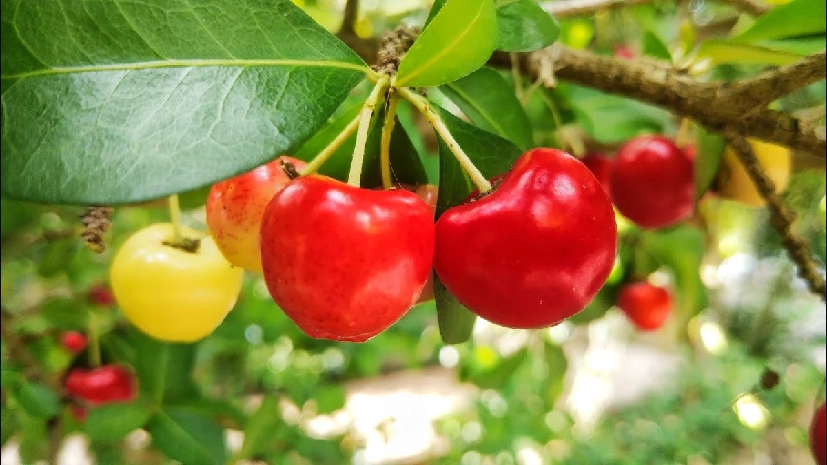 5 อาหาร \"ต้องกิน\" ก่อนนอน ช่วยให้หลับง่ายขึ้นราวปาฏิหาริย์!