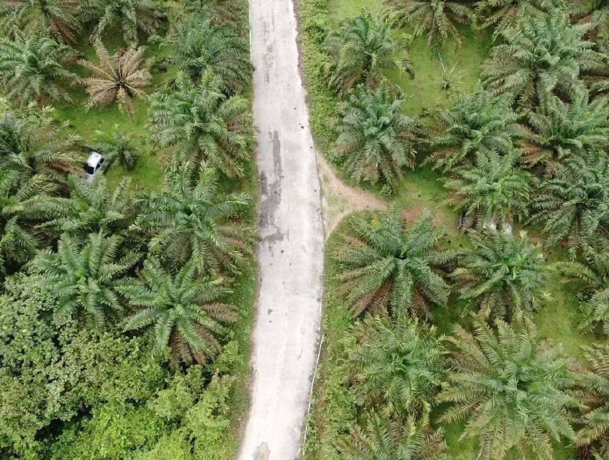 พบแล้ว รถต้องสงสัย 2 คัน ถูกปล้นมาก่อเหตุ ที่สุไหงโก-ลก EOD เข้าตรวจสอบ