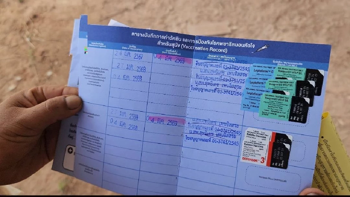 สุดเศร้า เจ้าของประกาศหาคนรับเลี้ยง ไซบีเรียน สุดรัก 2 ตัว หวั่นปะทะชายแดน
