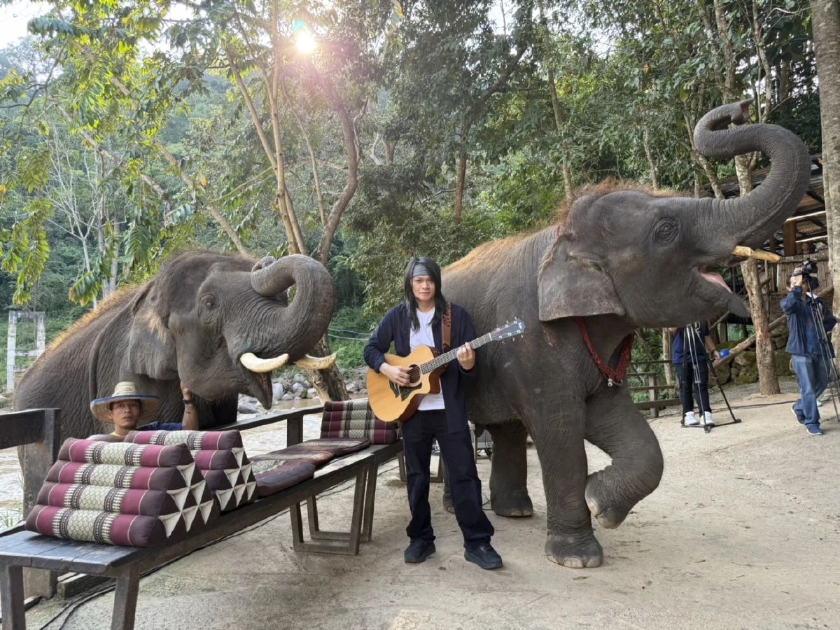 "พี สะเดิด" เปิดคอนเสิร์ตอะคูสติก "เรารักประเทศไทยอนุรักษ์ช้างไทย"