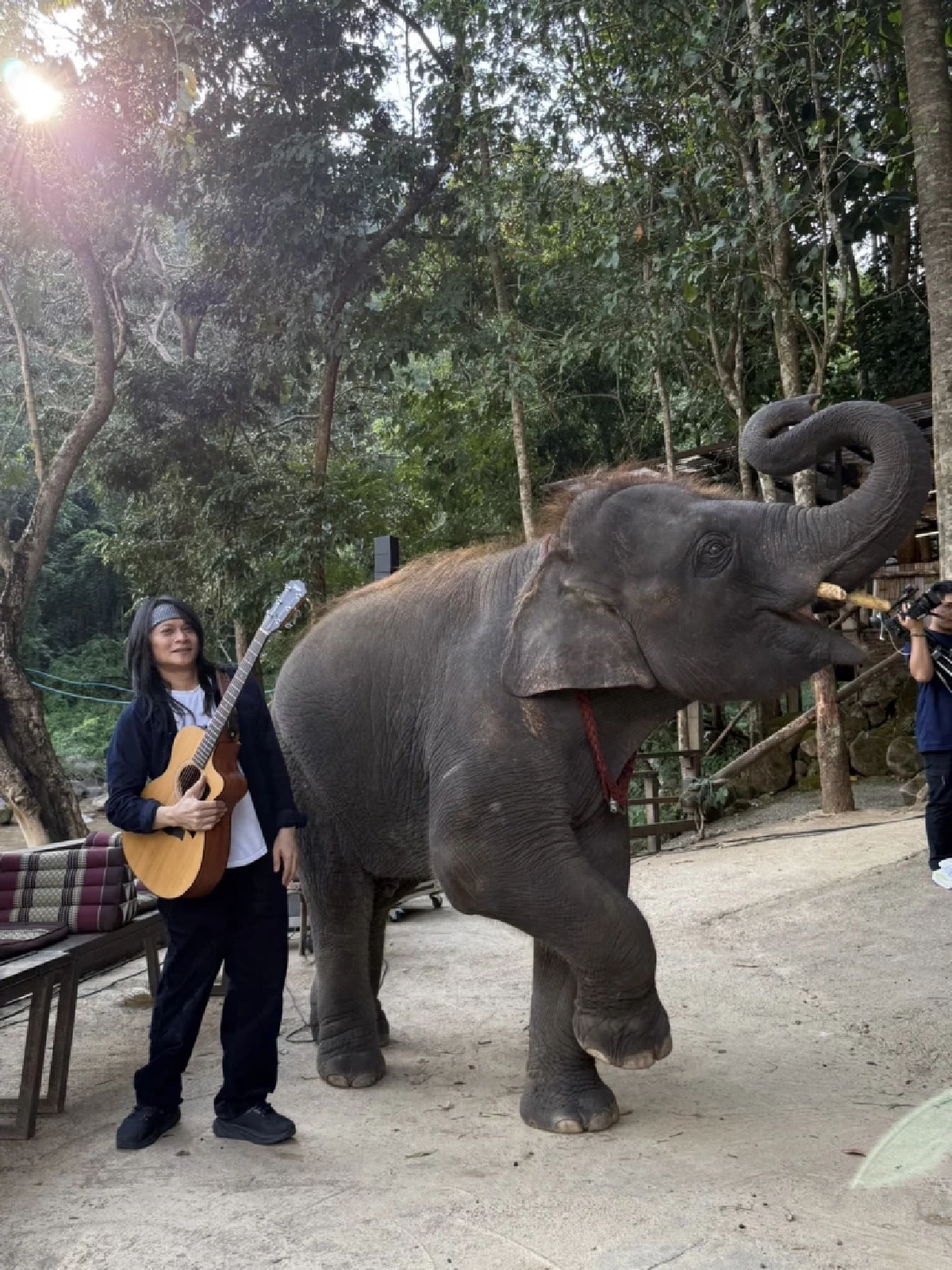 "พี สะเดิด" เปิดคอนเสิร์ตอะคูสติก "เรารักประเทศไทยอนุรักษ์ช้างไทย"