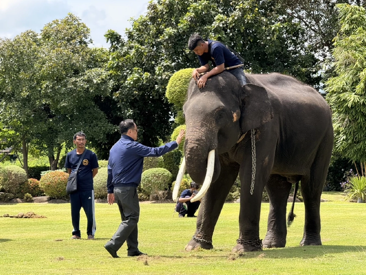 วันเกิด \"เนวิน\" สุดคึกคัก ทำพิธีศักดิ์สิทธิ์ความเชื่อตระกูลชิดชอบ