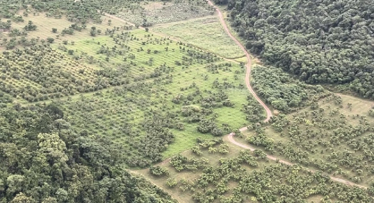 เขย่าแก่งกระจาน \"ฉก.ทส.\" ลุยสอบนายทุนรุกป่า-ราชพัสดุเกือบพันไร่