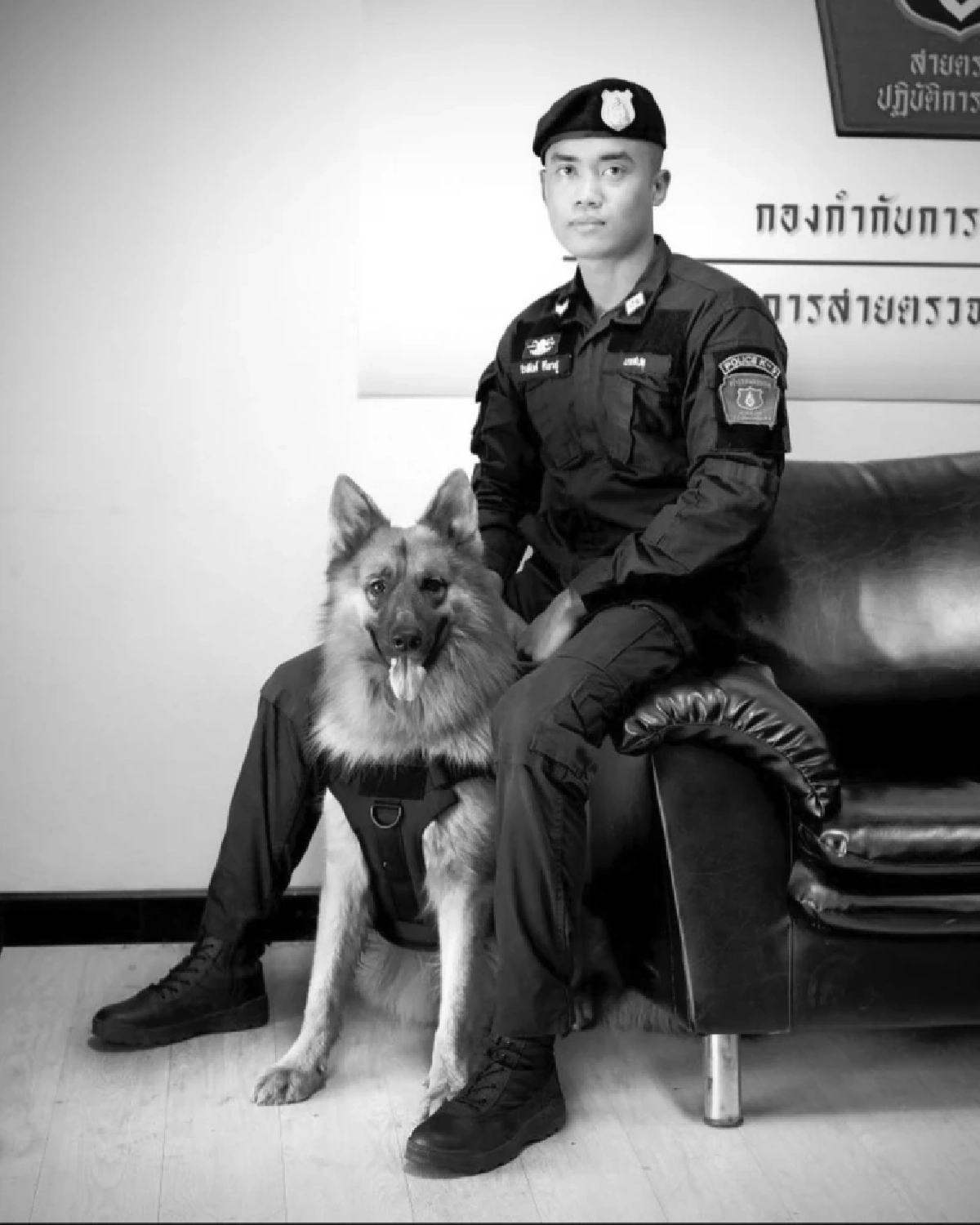 แฟนคลับใจหาย เจ้าของแจ้งข่าวเศร้า \"ซาโบ้\" สุนัขตำรวจ กลับดาวแล้ว
