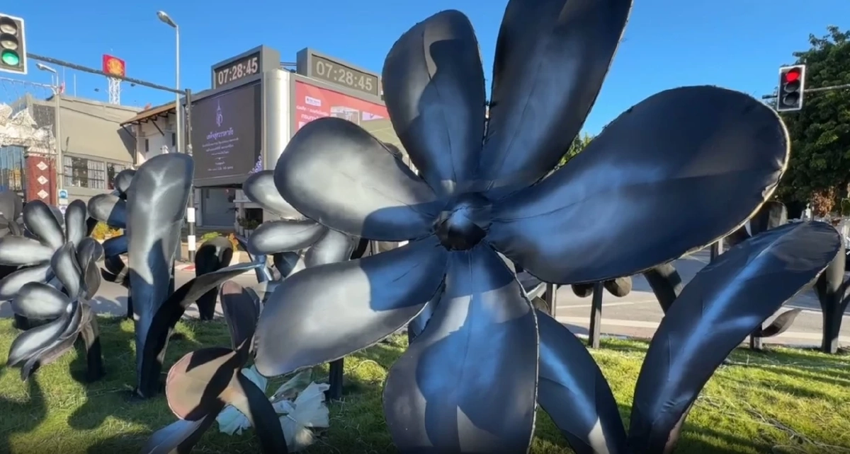 ดราม่าสนั่น เทศบาลเชียงใหม่ พ่นสีดำดอกไม้ประดับไฟงานยี่เป็ง