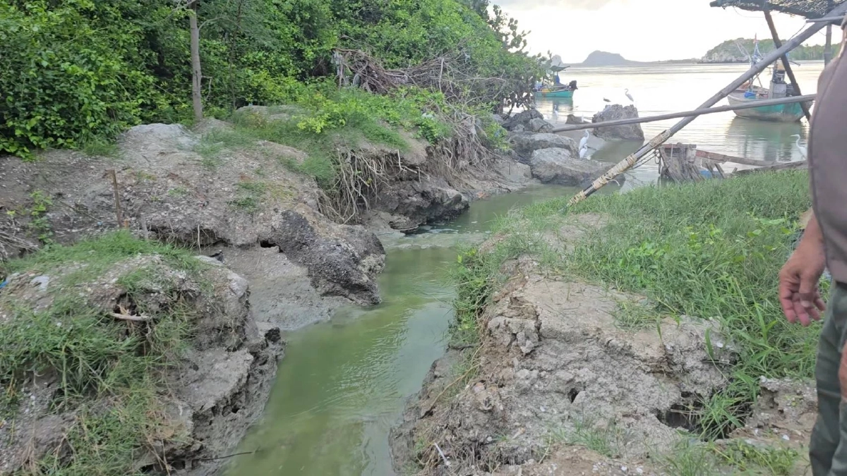 ร่องน้ำปากทางน้ำไหลออกทะเล