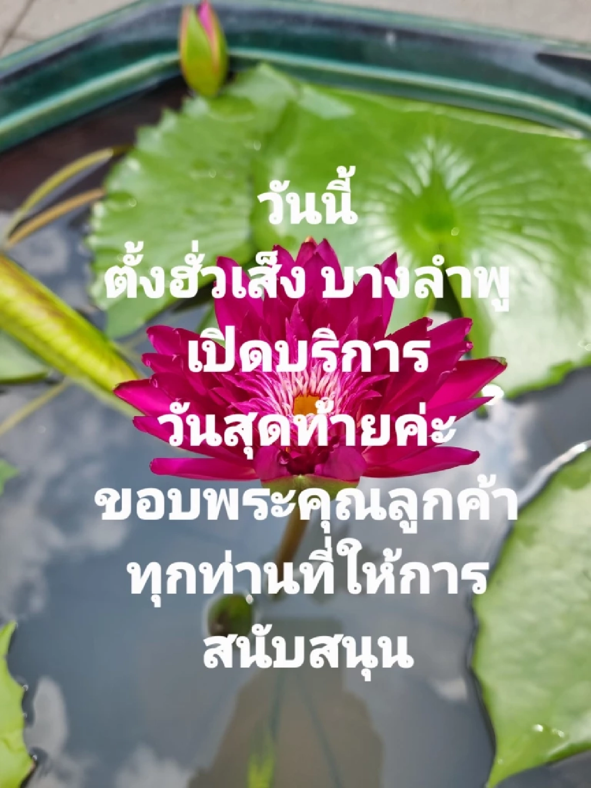 ปิดตำนาน "ตั้งฮั่วเส็ง บางลำพู" แจ้งข่าว เปิดให้บริการ วันสุดท้าย