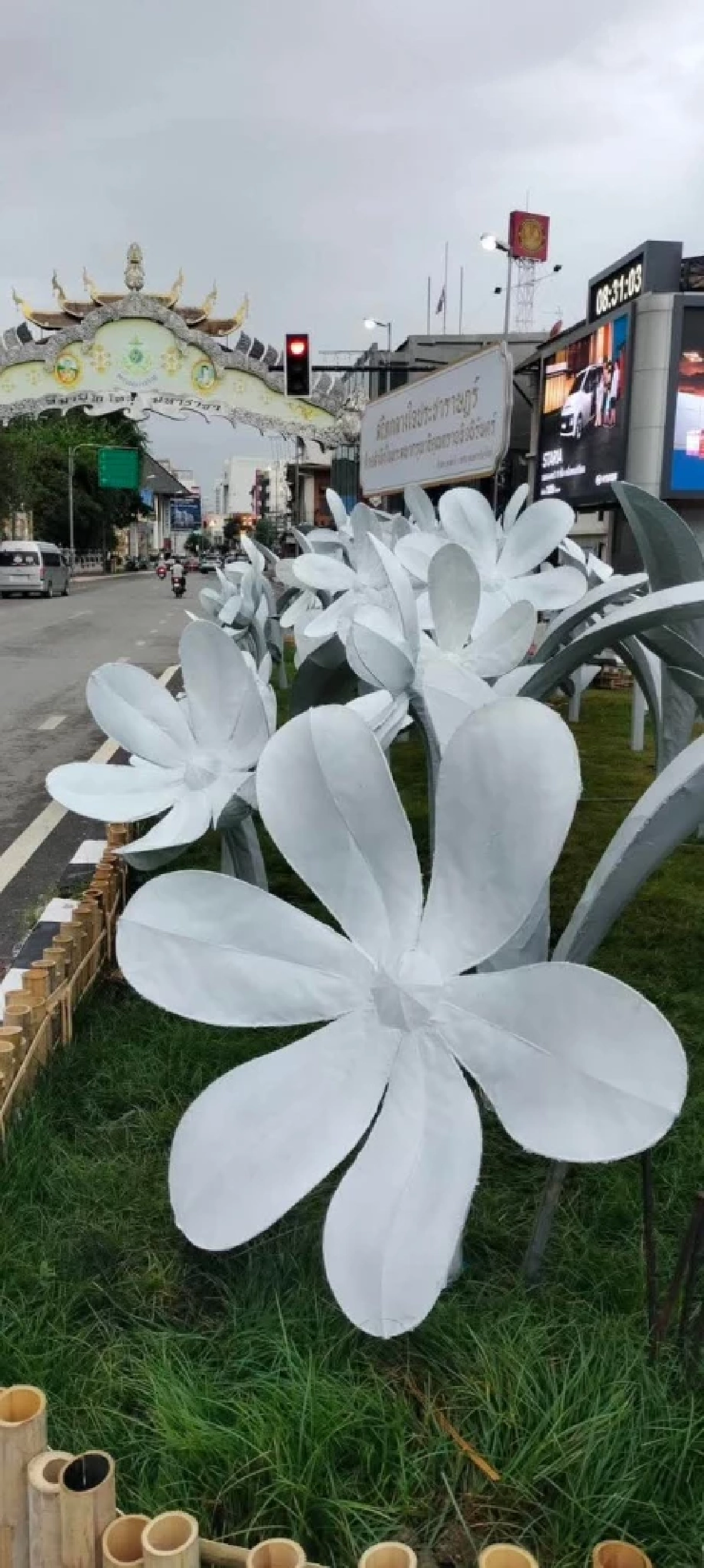 ปิดจบดราม่า! ดอกไม้ที่ถูกพ่นสเปรย์สีดำ เปลี่ยนเป็นสีขาว