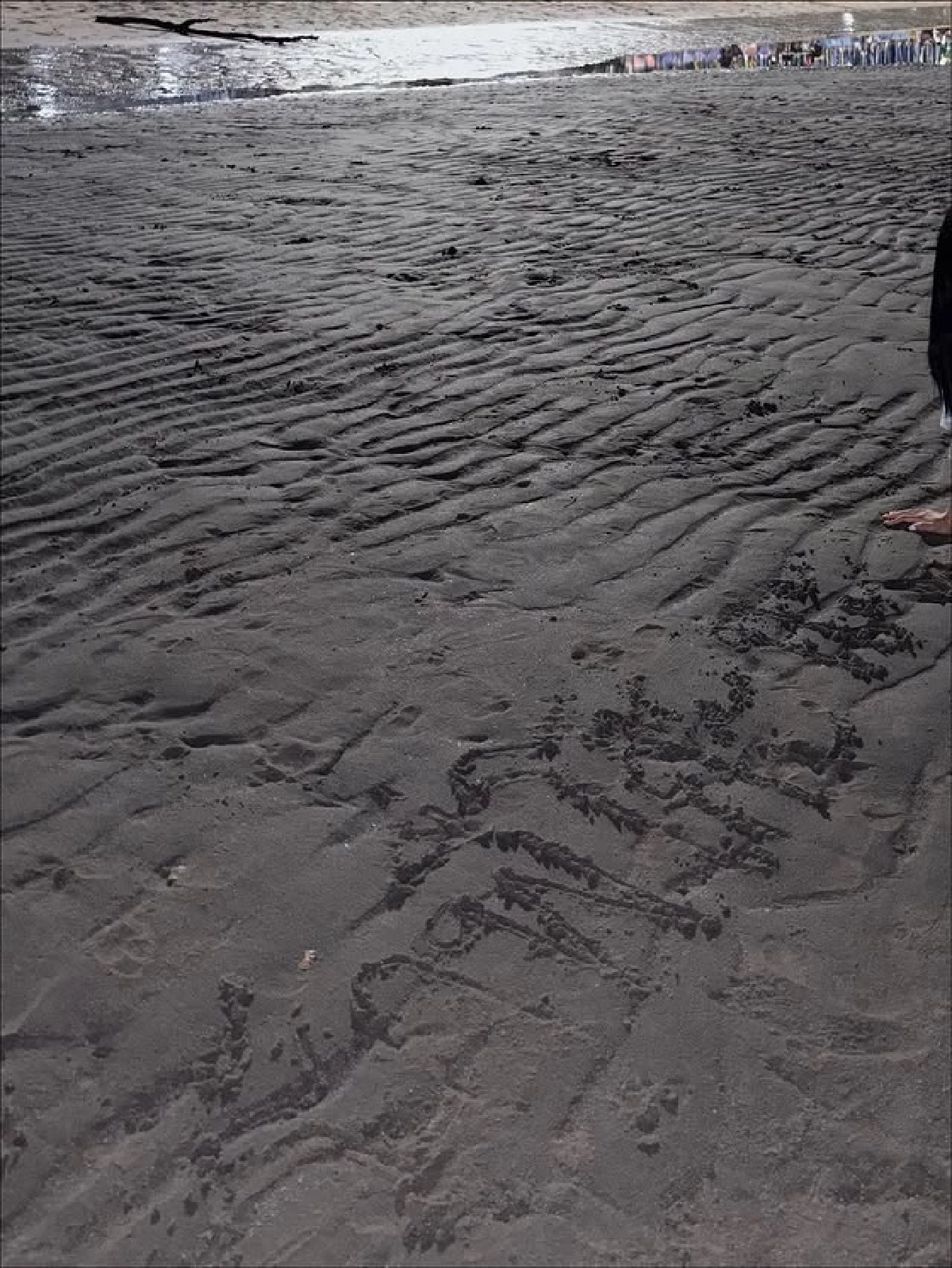  เปิดช็อตเด็ดการันตีความหวาน "โก๊ะตี๋" คลั่งรักจัดหนักให้ "ใบมิ้นต์" 