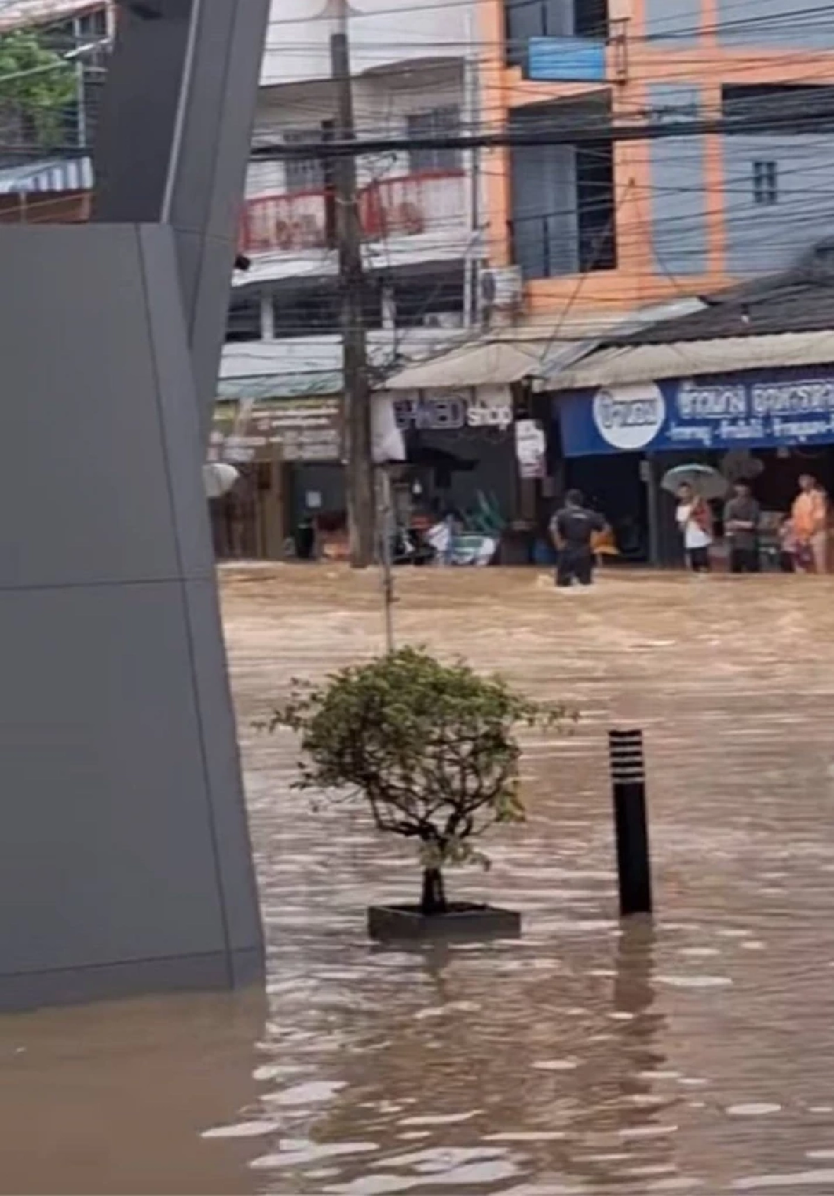 เช็กด่วน! 16 พื้นที่ในอำเภอหาดใหญ่  หลัง PEA ประกาศตัดไฟฟ้าหลายจุด