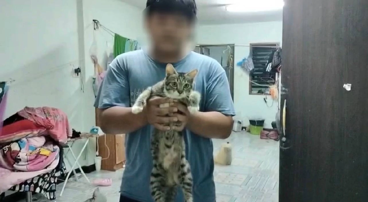 เจ้าเหมียวเกือบไม่รอด! หนุ่มฮึดสู้งูเหลือม หวิดเขมือบแมวแสนรัก