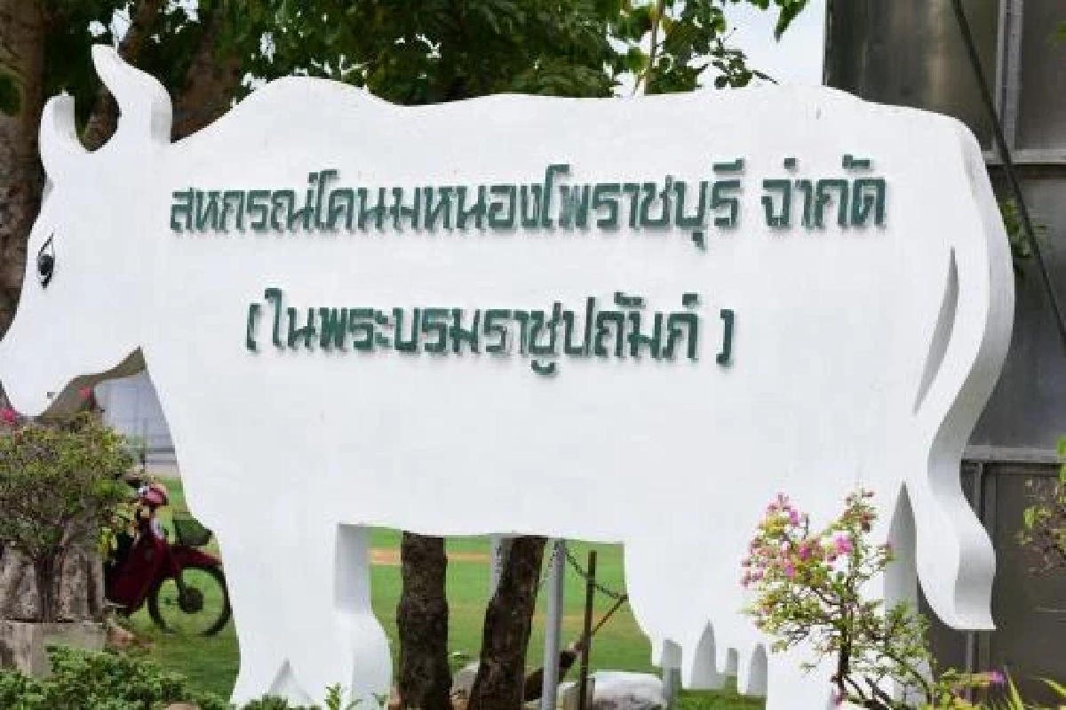 ย้อนจุดกำเนิด "นมหนองโพ" นมโคแท้ๆ 100%  นมถุงในตำนานเกินกว่า 50 ปี