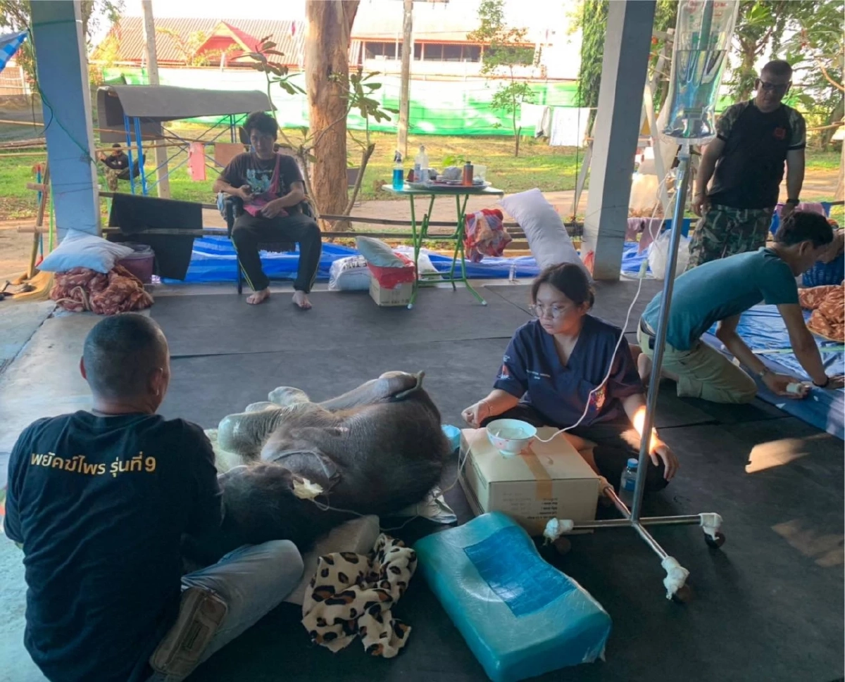 ส่งกำลังใจ "พังข้าวต้ม" ต่อสู้ไวรัสเฮอร์ปีส์ ชนิดที่ 4 เตรียมถ่ายเลือดคืนนี้