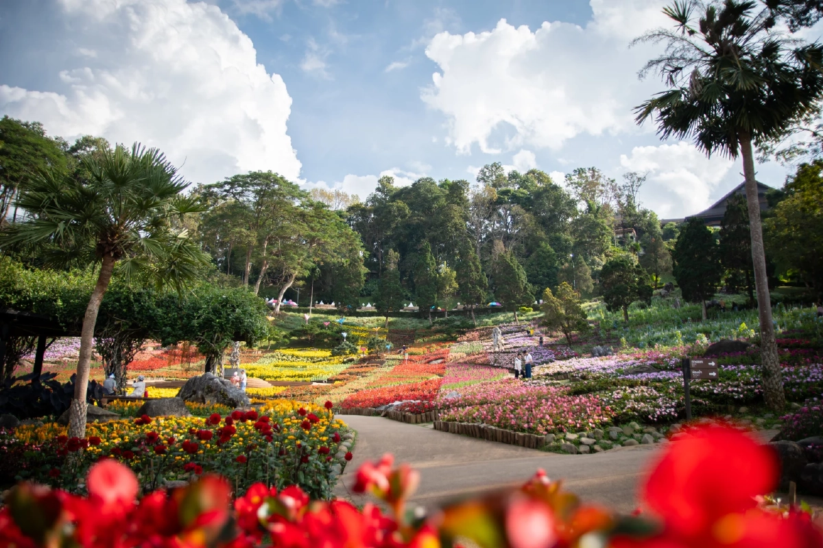 มัดรวมไฮไลท์ห้ามพลาด! “สีสันแห่งดอยตุง ครั้งที่ 12 The Monsters’ Journey