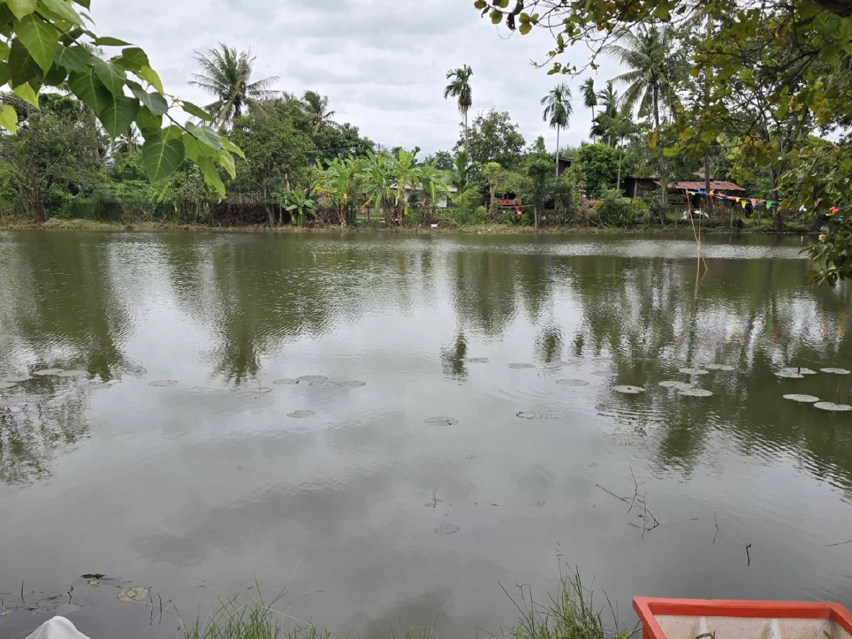 ชาย 43 ปี จมน้ำดับ หลังช่วยพระ-ชาวบ้าน เก็บวัชพืช เตรียมงานลอยกระทง