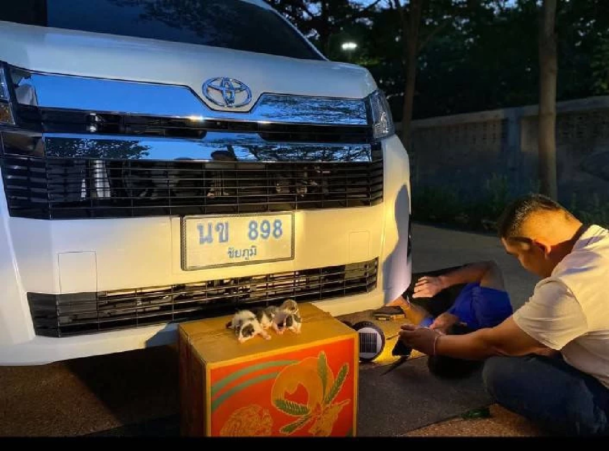 ส่องเลขเด็ด แมวคลอดลูก ใต้ท้องรถ "หลวงปู่จื่อ" พระเกจิชื่อดัง