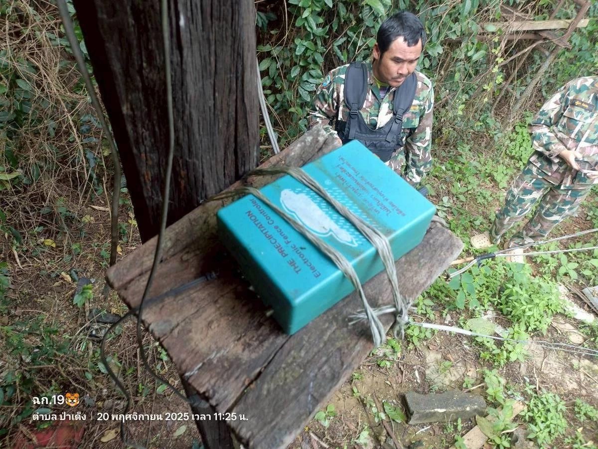 เศร้าอีก! ช้างป่าแก่งกระจาน ถูกไฟฟ้าช็อต ล้มคาสวนชาวบ้าน