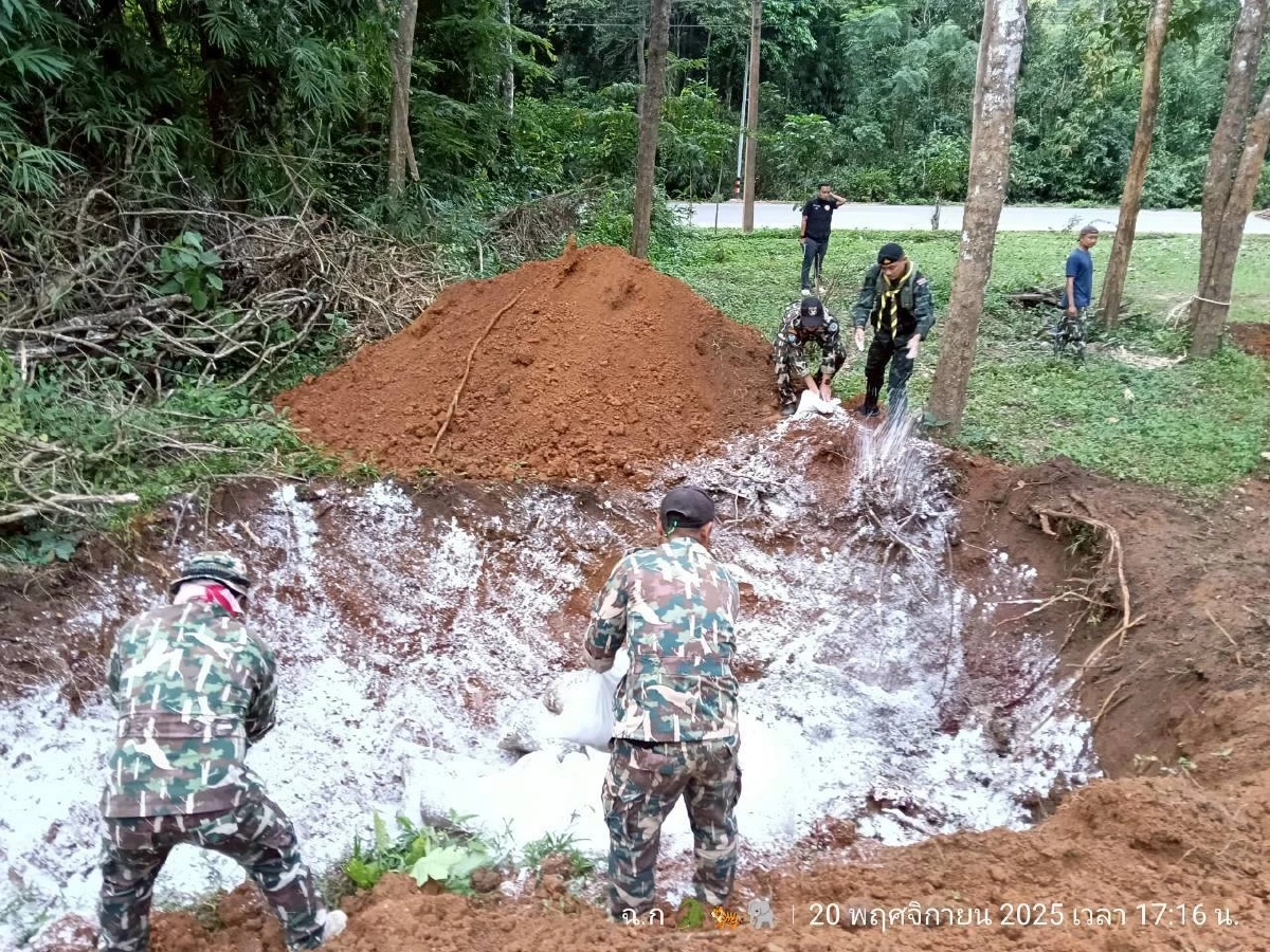 เศร้าอีก! ช้างป่าแก่งกระจาน ถูกไฟฟ้าช็อต ล้มคาสวนชาวบ้าน