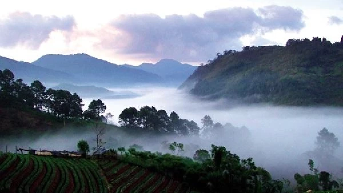 "พายุโคโตะ" ไม่เข้าแต่ไทยแต่หนาวปากสั่น ทั่วประเทศ! ภาคใต้ฝนหนักบางแห่ง