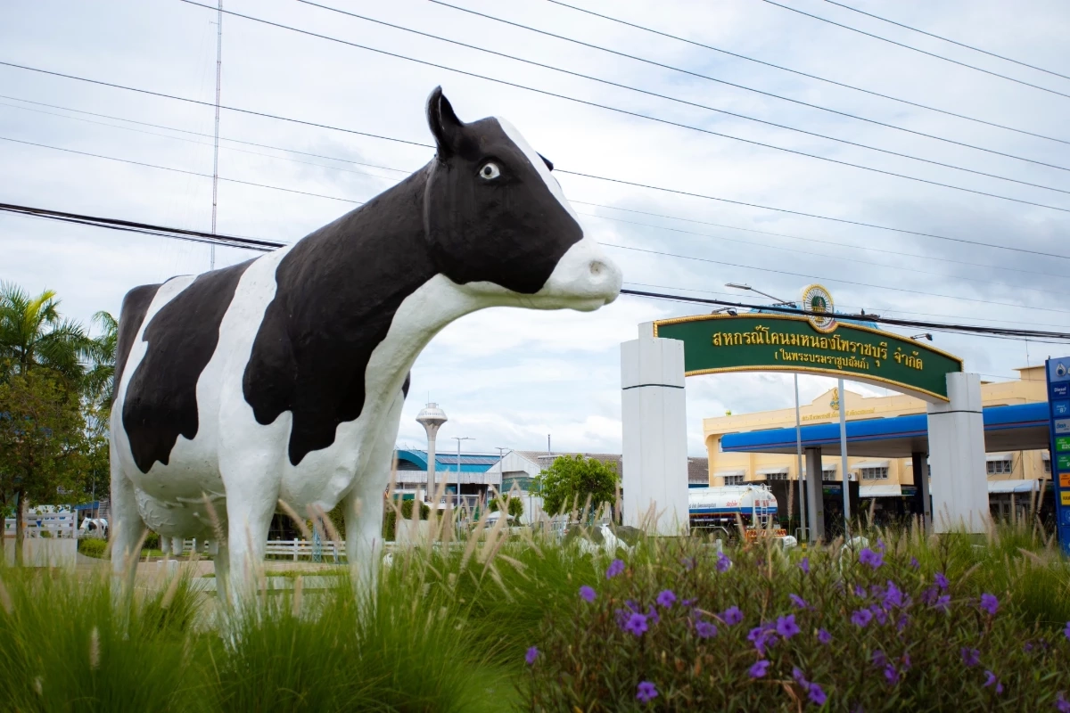 ย้อนจุดกำเนิด "นมหนองโพ" นมโคแท้ๆ 100%  นมถุงในตำนานเกินกว่า 50 ปี