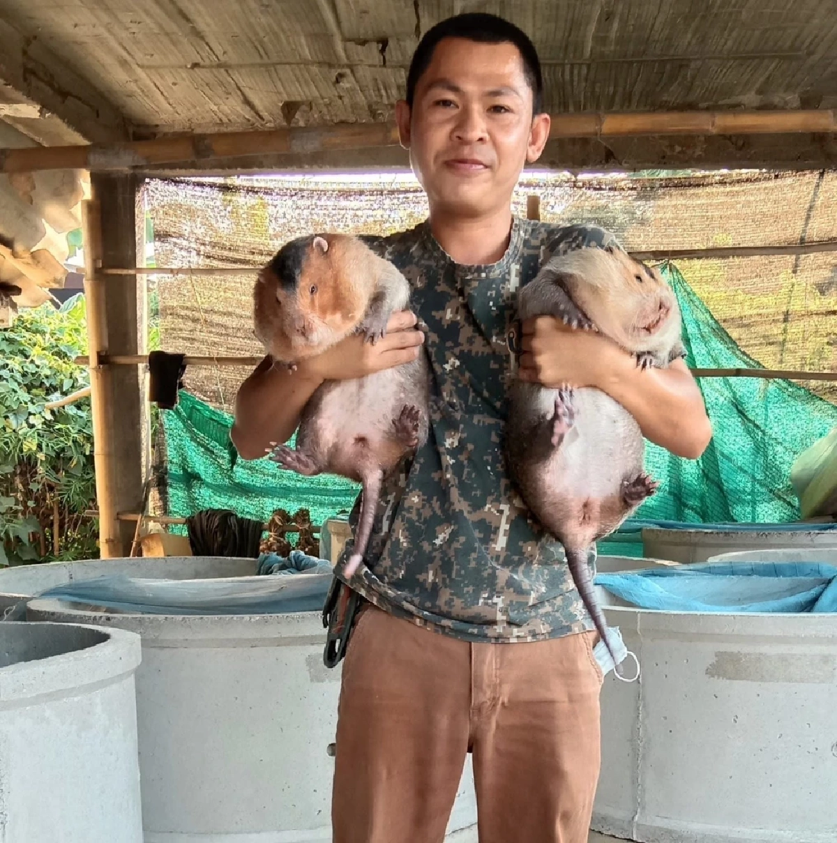 รวยเงียบไม่บอกใคร \"อ้น\" สัตว์เศรษฐกิจตัวใหม่แห่งภาคเหนือ เลี้ยงง่ายราคาดี