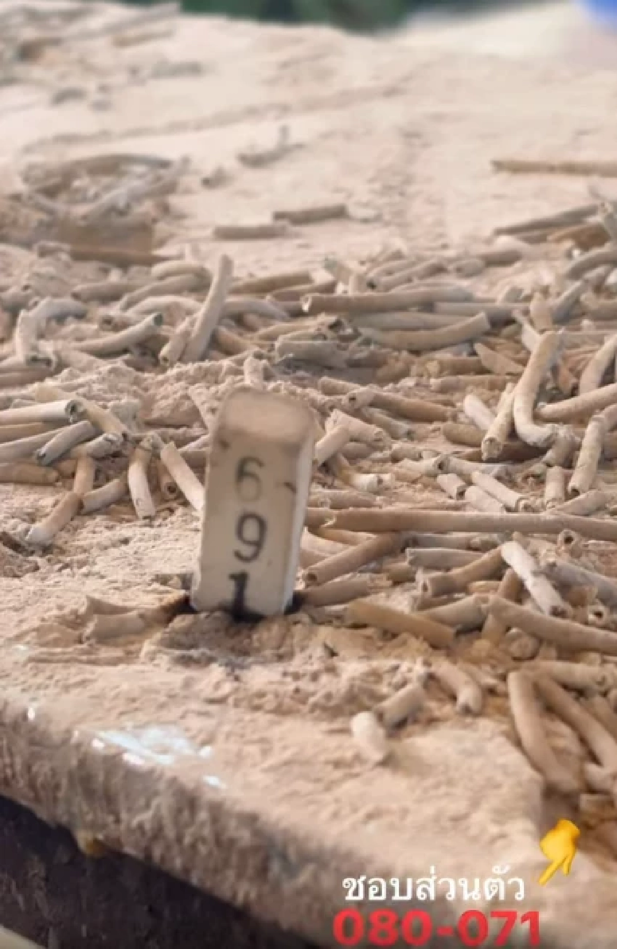 'มนต์สิทธิ์ คำสร้อย' จุดธูปเปิดเลขเด็ด! ลุ้นรวยหวยงวด1 ธันวาคม 2568