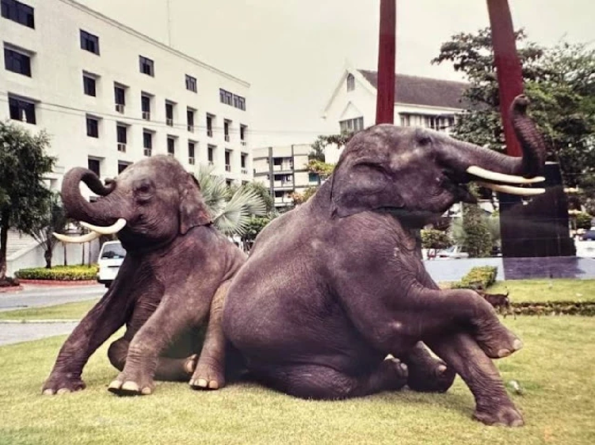 พลายศรีณรงค์-พลายศักดิ์สุรินทร์ ภาพจาก ดร.สิทธิเดช มหาสาวังกุล