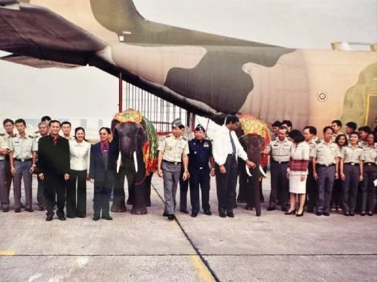 ทำความรู้จัก "ประตูผา-ศรีณรงค์" ช้างทูตสันถวไมตรีที่คนไทยรอวันกลับบ้าน