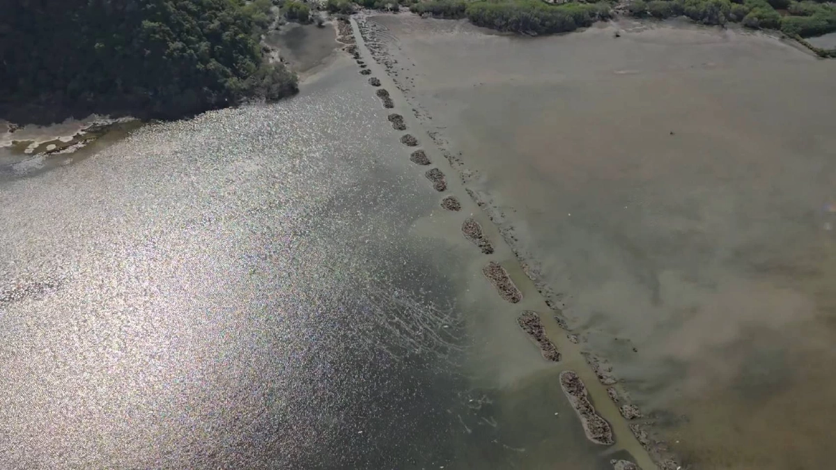 \"ศึกสามร้อยยอด\" ฉก.ทส. บุกสอบขบวนการขุดร่องน้ำ ปล่อยลงทะเล หวังฮุบสมบัติชาติ ออกเอกสิทธิ์