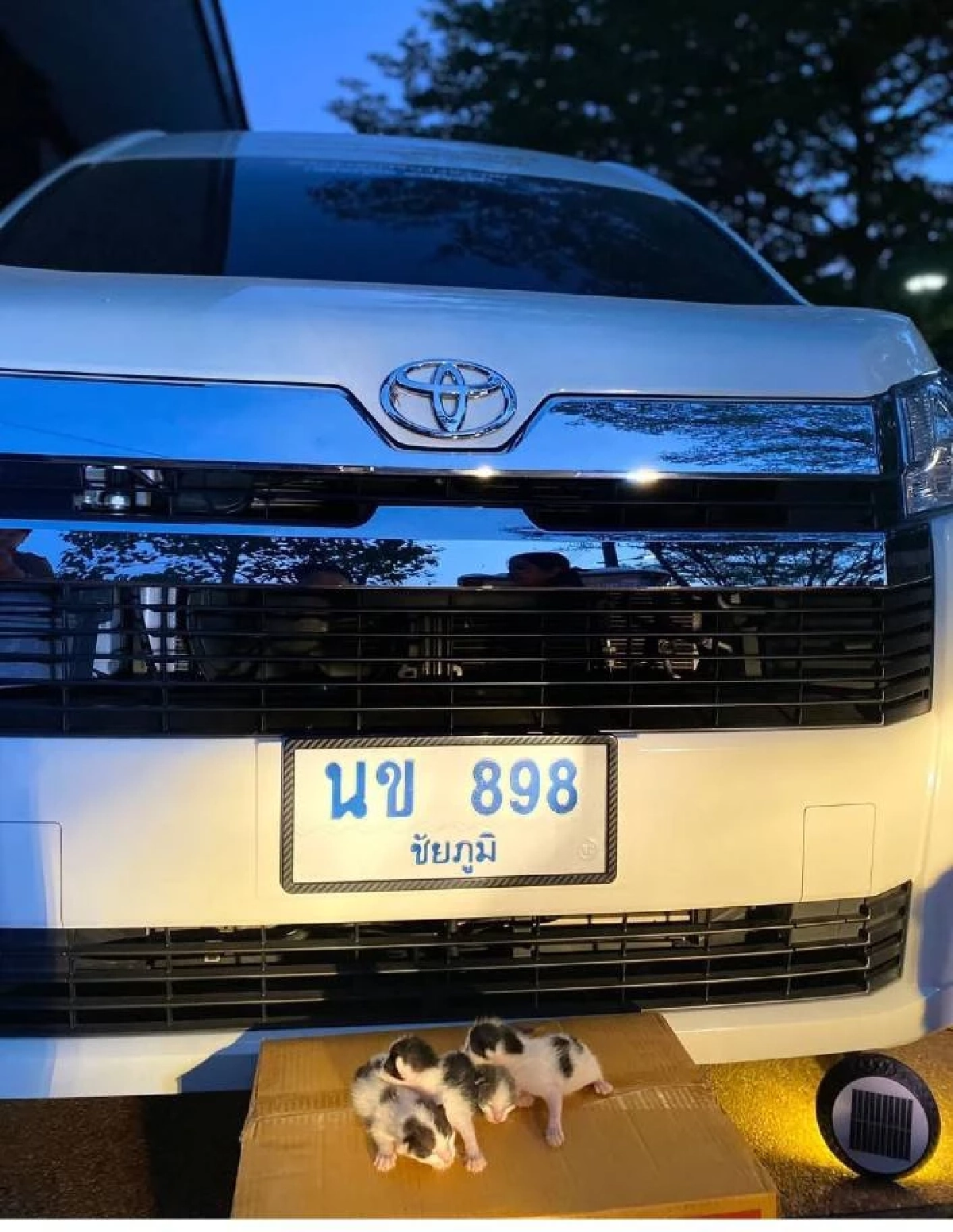 ส่องเลขเด็ด แมวคลอดลูก ใต้ท้องรถ "หลวงปู่จื่อ" พระเกจิชื่อดัง