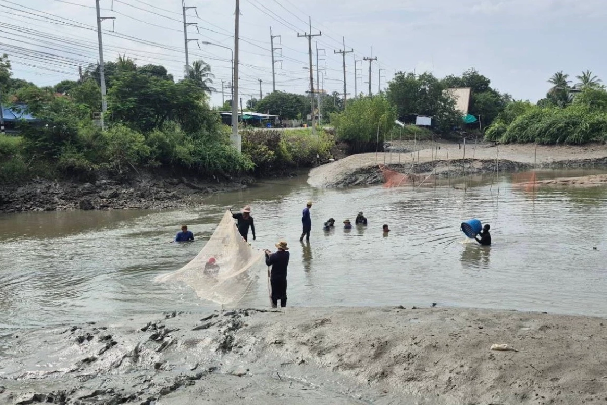 ปิดเกมเอเลียนรุก! มาตรการเข้มข้นทำ ‘ปลาหมอคางดำ’ ลดลงต่อเนื่อง