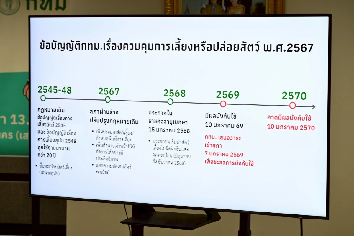 ไม่ต้องกังวล! กทม. เตรียมเสนอสภา กทม. ชะลอข้อบัญญัติหมาแมว