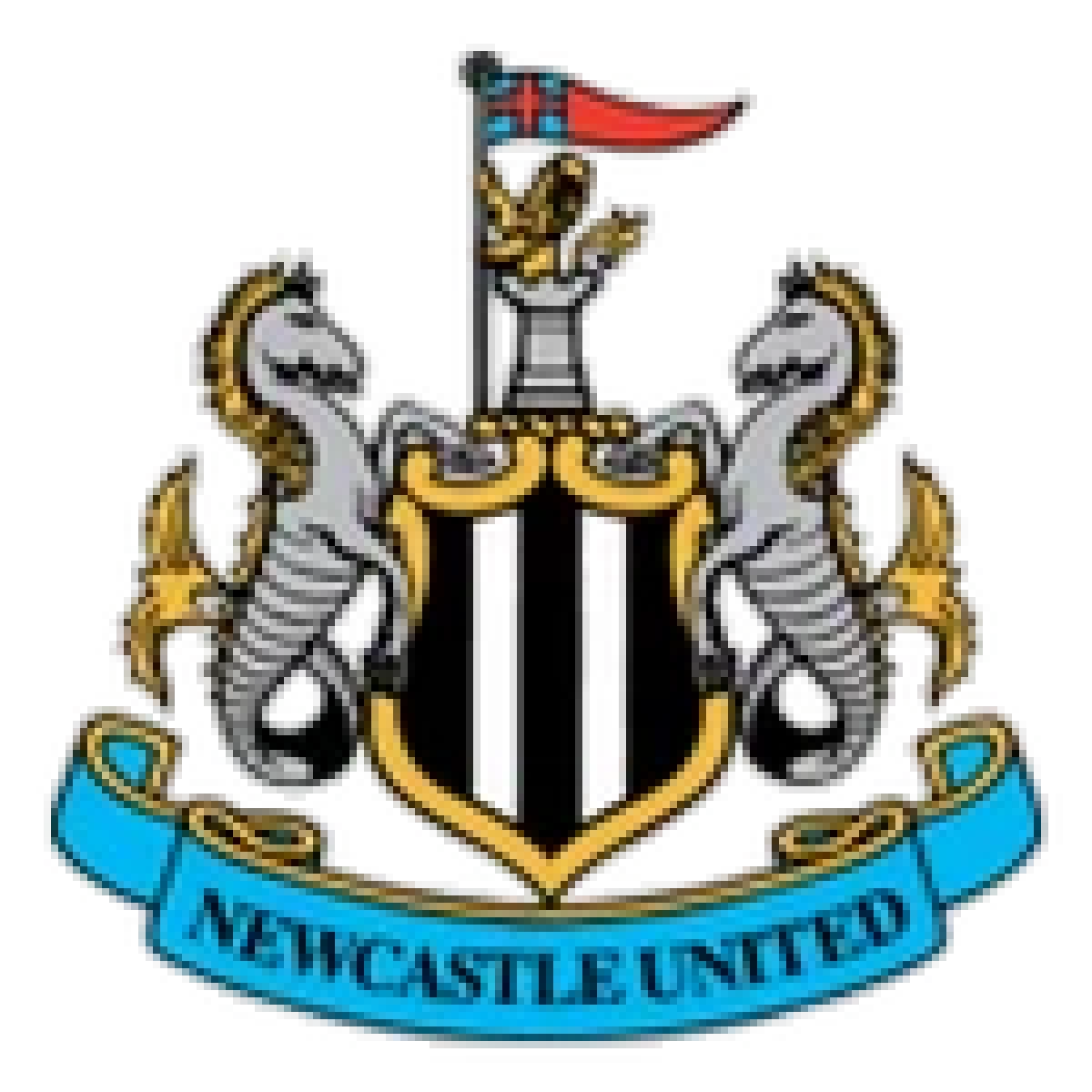 LIVE ลิงค์ดูบอล "นิวคาสเซิ่ล พบ ฟูแล่ม" 03:15 น. ดูบอลสด คาราบาวคัพ EFL