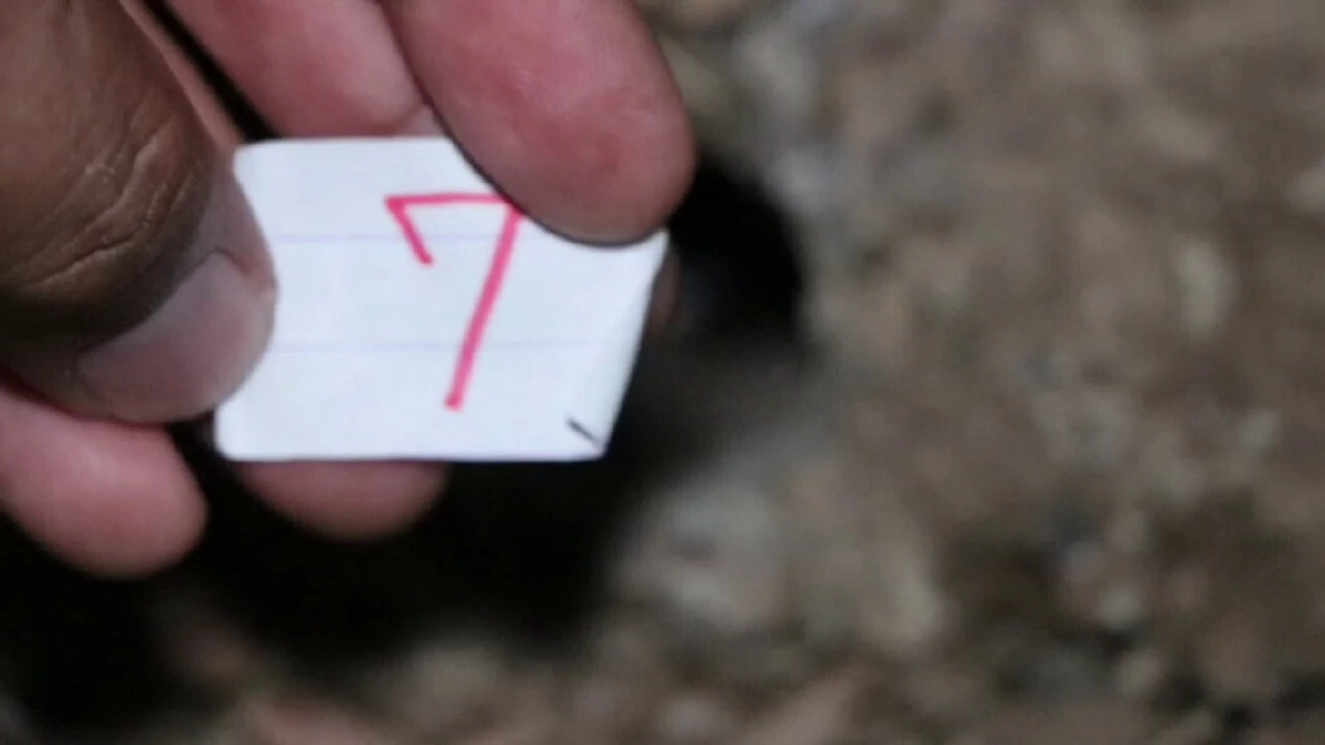 เลขเด็ด ส่องเลข "พญาบึ้ง" ตามความเชื่อ วัดโบสถ์ราษฎรศรัทธา เลข 3 ตัว จดด่วน!