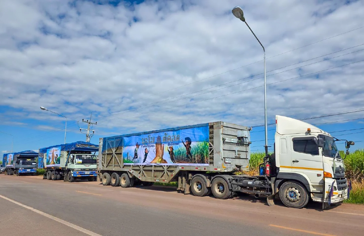 นะโมตัดสด