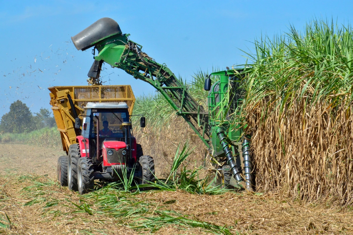 นะโมตัดสด