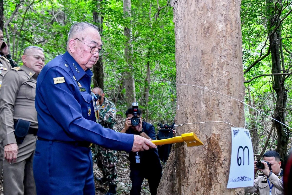 พิธีบวงสรวงตัดไม้จันทน์หอมกุยบุรี จัดสร้างพระโกศและพระหีบ ในพิธีพระบรมศพ