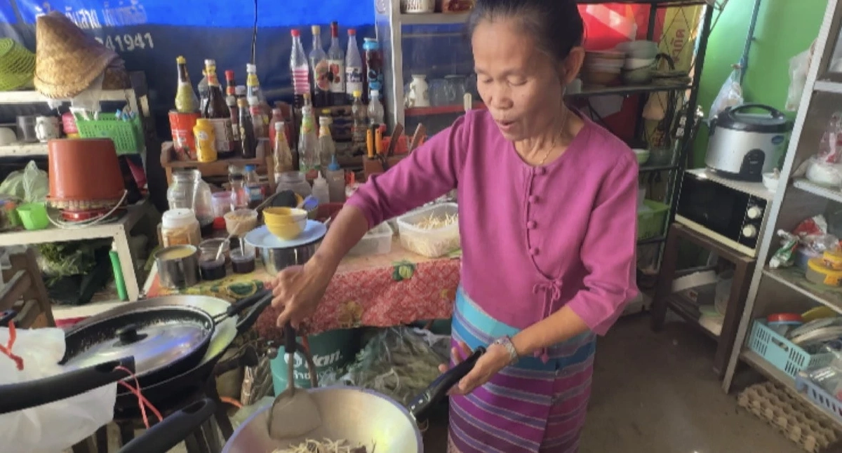 “ถั่วงอกต้นโพธิ์” อาชีพเงินล้านที่คนมองข้าม เพาะง่าย ต้นทุนต่ำ เก็บขายได้ทุกวัน