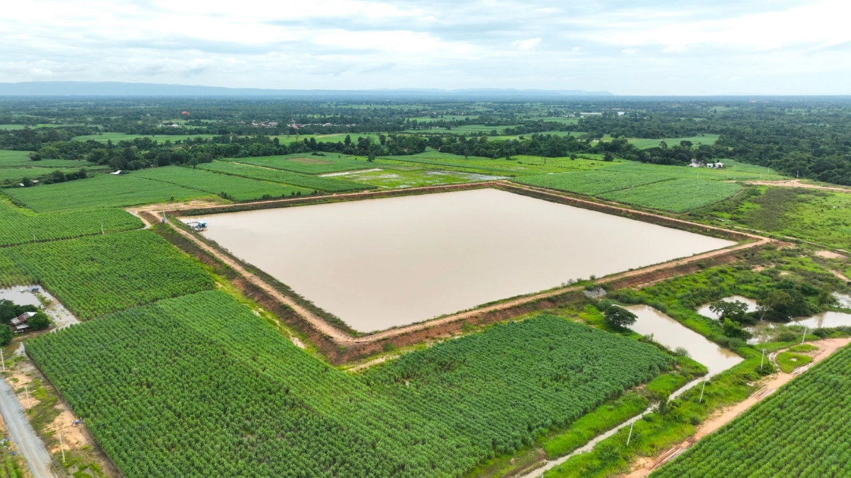 โครงการ “Mitr Phol Oasis”