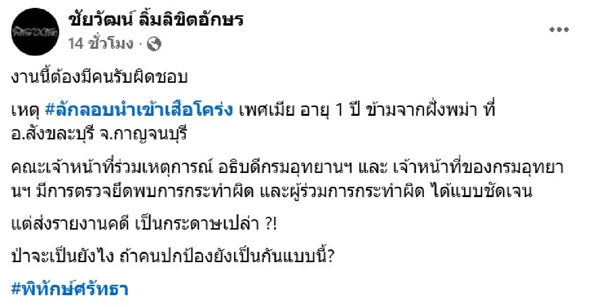 "มูลนิธิเพื่อนสัตว์ป่า" ชี้แจง ลูกเสือโคร่งถูกตรวจยึด ทหาร KNU ช่วยมาจากฐานสแกมเมอร์