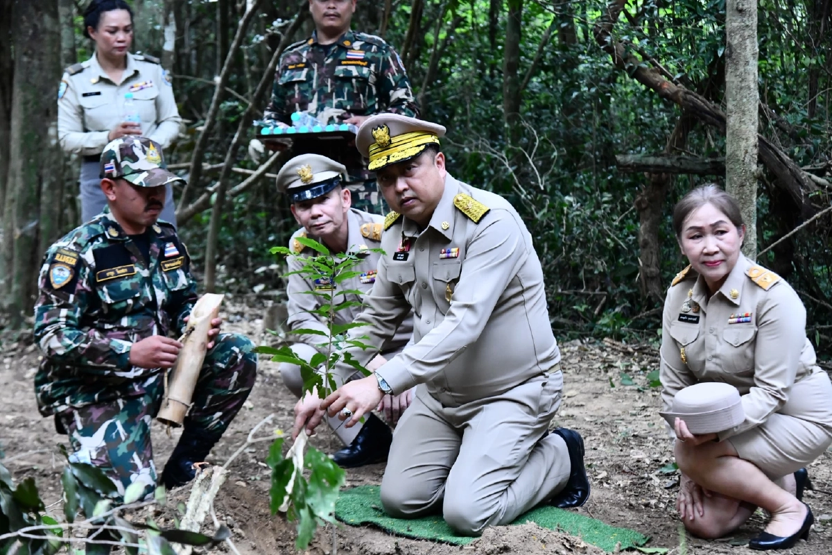 พิธีบวงสรวงตัดไม้จันทน์หอมกุยบุรี จัดสร้างพระโกศและพระหีบ ในพิธีพระบรมศพ