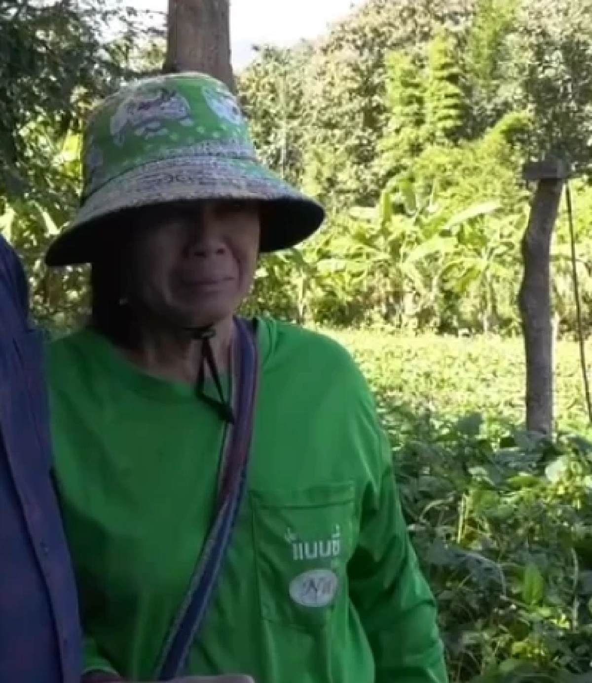 ไม่จบ!  ตา-ยาย ตัดไม้ต้นเดียวถูกปรับแสน ลามโดนแจ้งจับบุกรุกแผ้วทางป่าสงวน