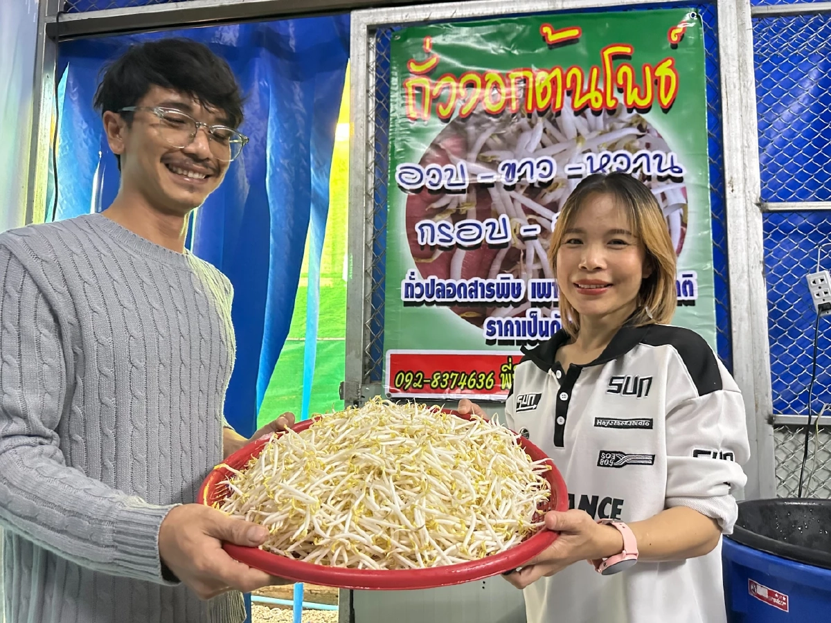 “ถั่วงอกต้นโพธิ์” อาชีพเงินล้านที่คนมองข้าม เพาะง่าย ต้นทุนต่ำ เก็บขายได้ทุกวัน